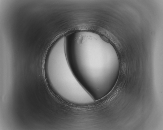 X0000102540530200808081052