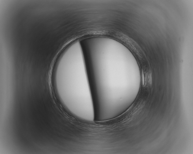 X0000102540531200808081052
