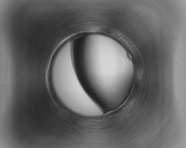 X0000102540532200808081052