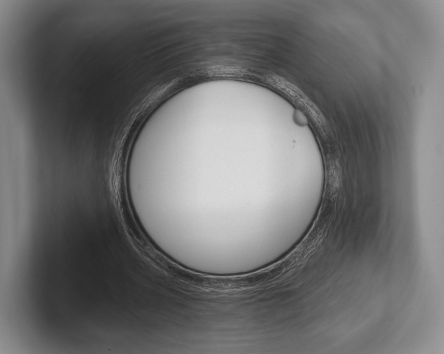 X0000102540533200808081052