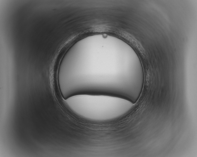 X0000102540535200808081052