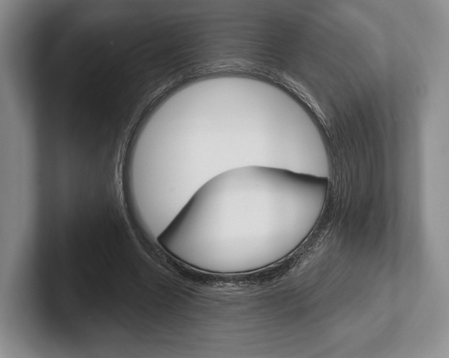 X0000102540538200808081052
