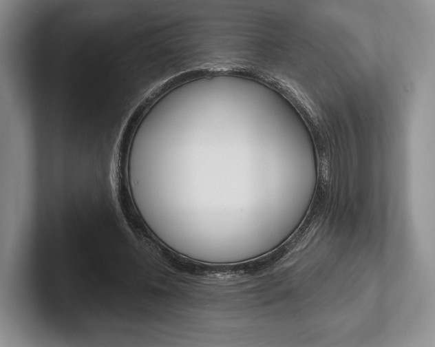 X0000102540540200808081052