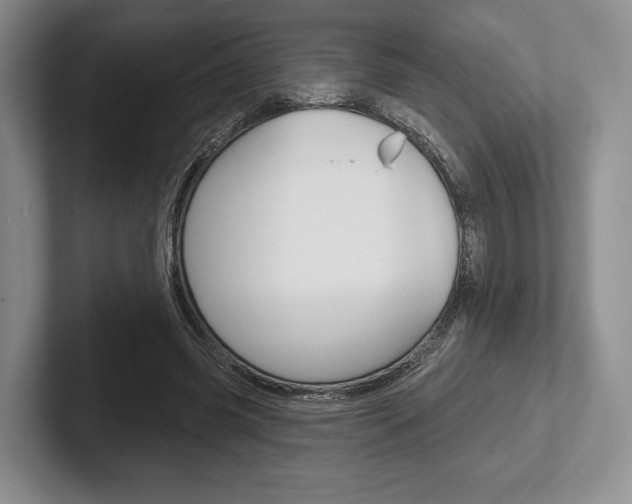 X0000102540541200808081052