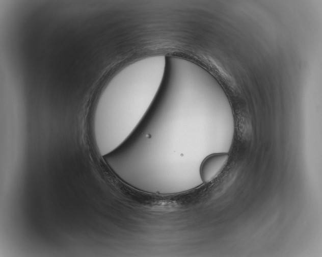 X0000102540543200808081052