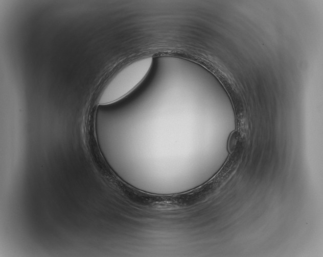 X0000102540544200808081052