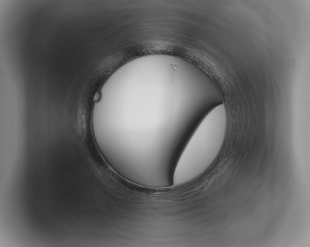 X0000102540546200808081052