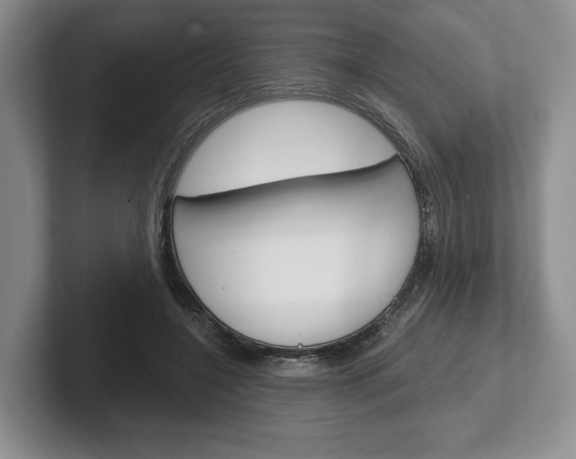 X0000102540548200808081052
