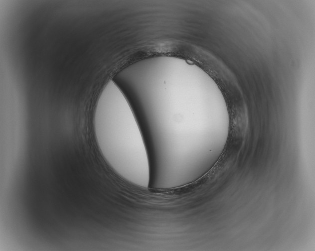 X0000102540555200808081052