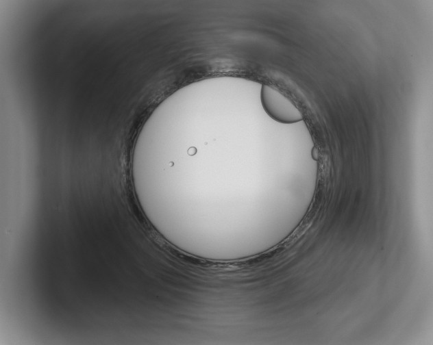 X0000102540557200808081052