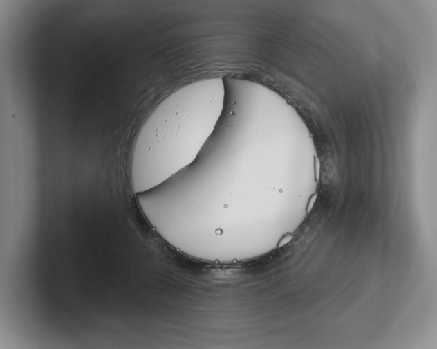 X0000102540560200808081052