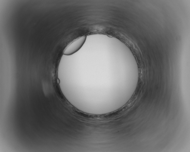 X0000102540561200808081052