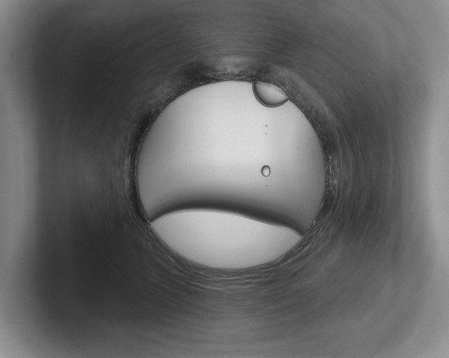X0000102540563200808081052