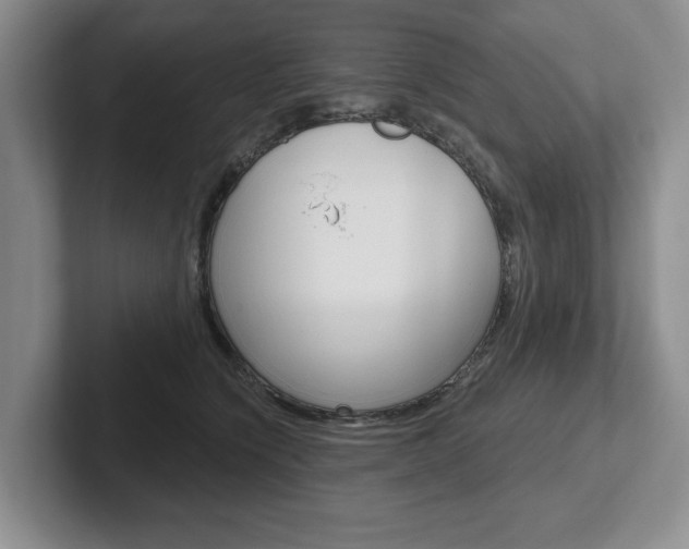 X0000102540564200808081052