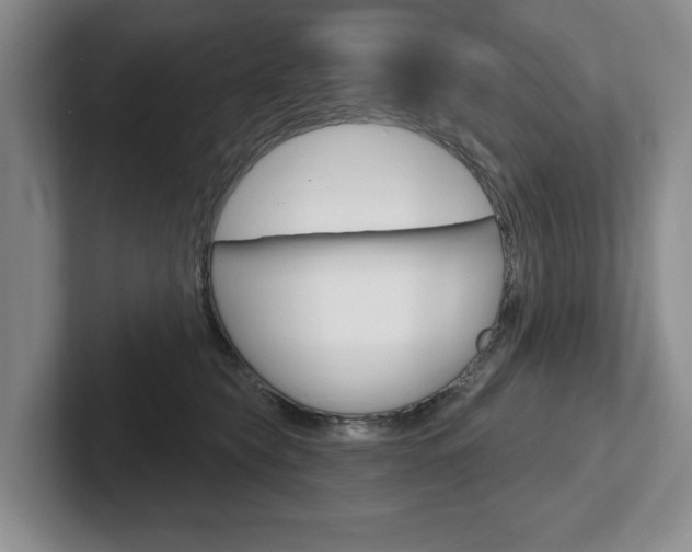X0000102540565200808081052