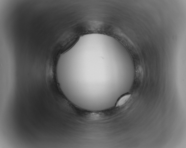 X0000102540566200808081052