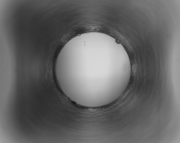 X0000102540570200808081052