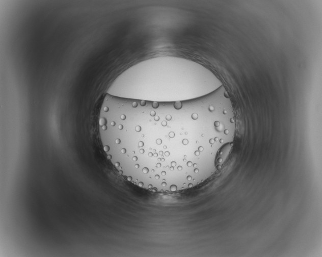 X0000102540573200808081052