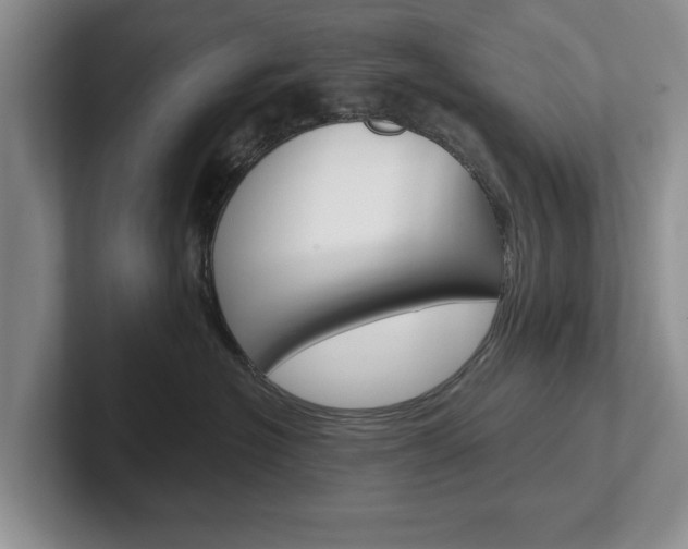 X0000102540574200808081052