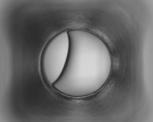 X0000102540582200808081051
