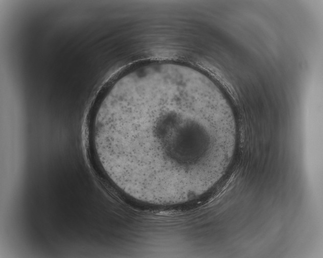 X0000102540584200808081051