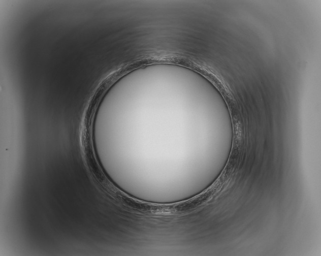 X0000102540587200808081051