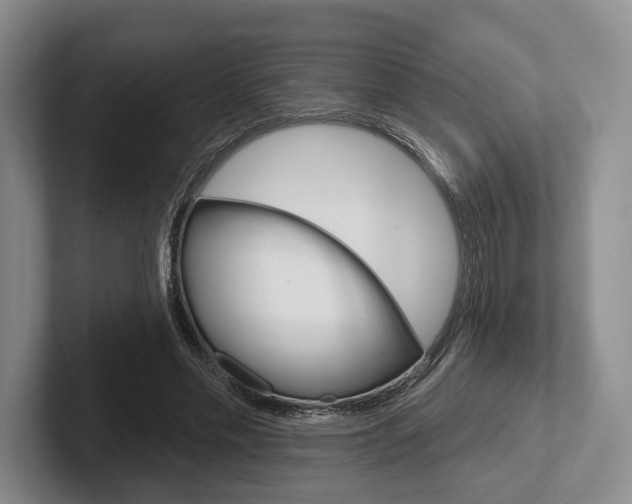 X0000102540589200808081051