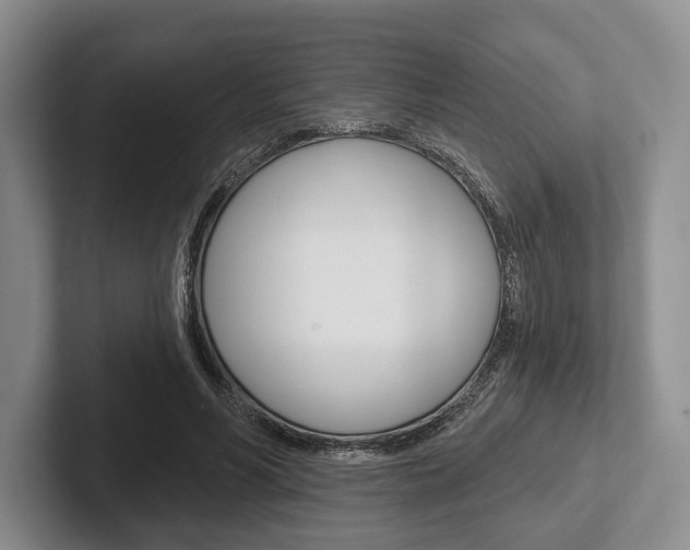 X0000102540590200808081051