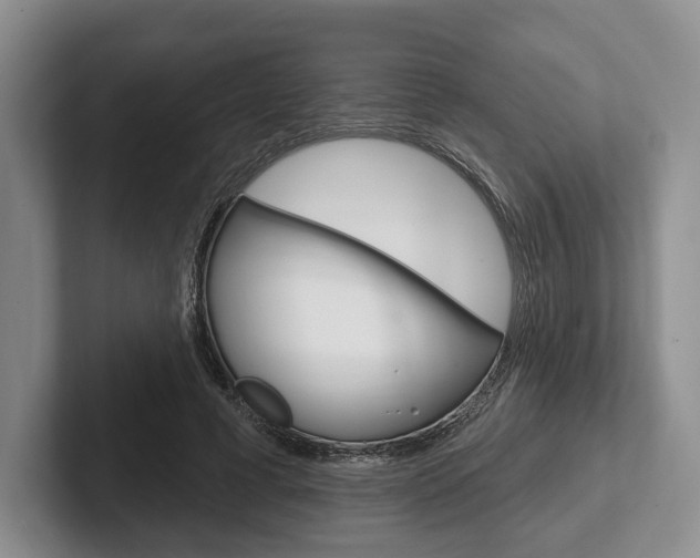 X0000102540593200808081051