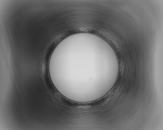 X0000102540595200808081051