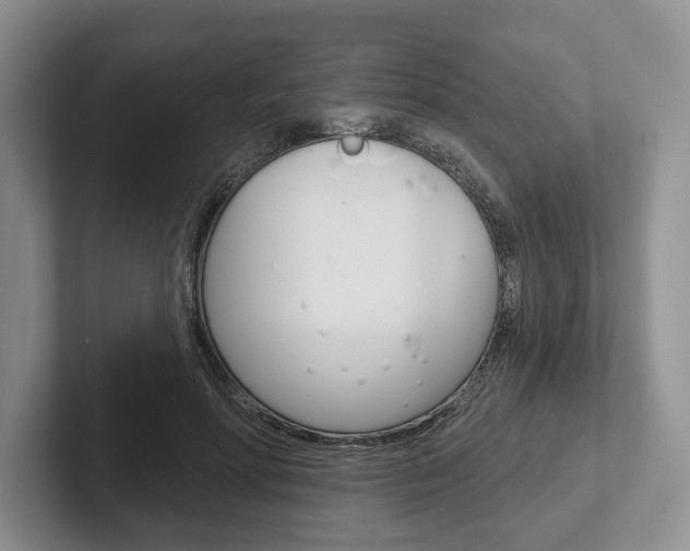 X0000102540598200808081051