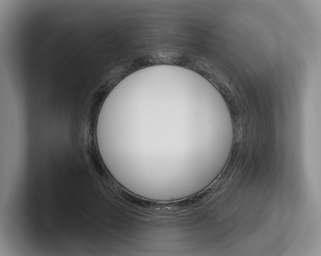 X0000102540599200808081051