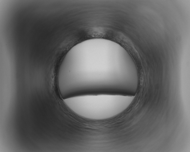 X0000102540604200808081051