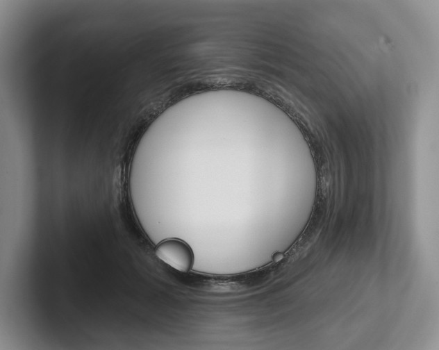 X0000102540605200808081051