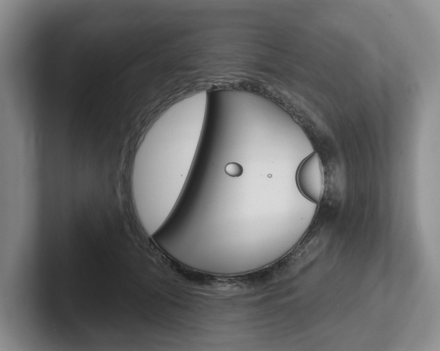 X0000102540608200808081051