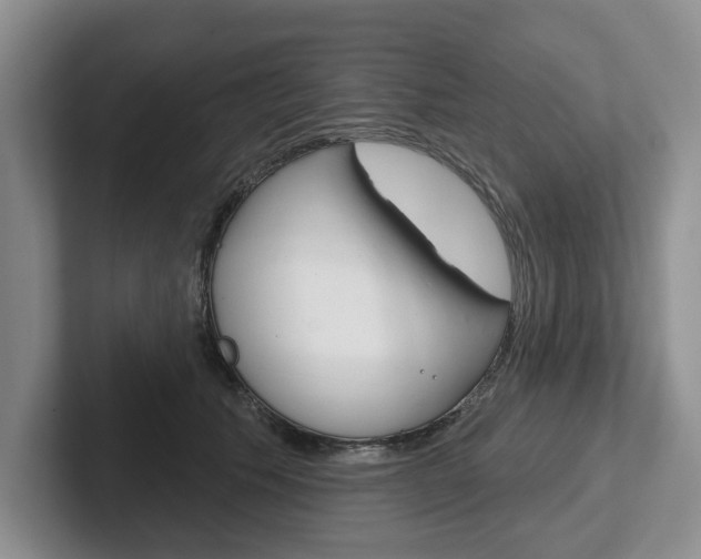 X0000102540609200808081051