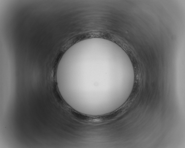 X0000102540610200808081051