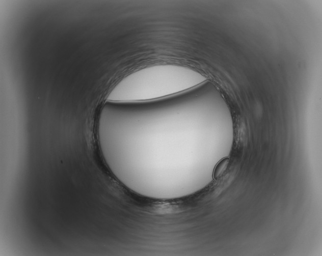 X0000102540616200808081051