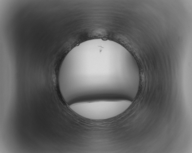 X0000102540617200808081051
