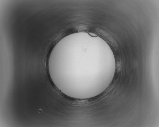 X0000102540618200808081051