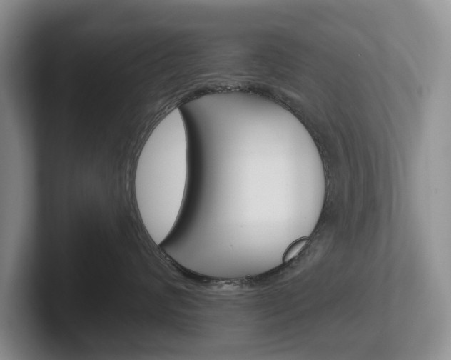 X0000102540624200808081051