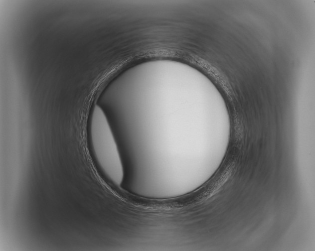 X0000102540625200808081050