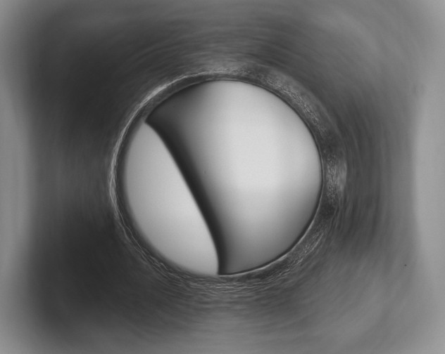 X0000102540628200808081050