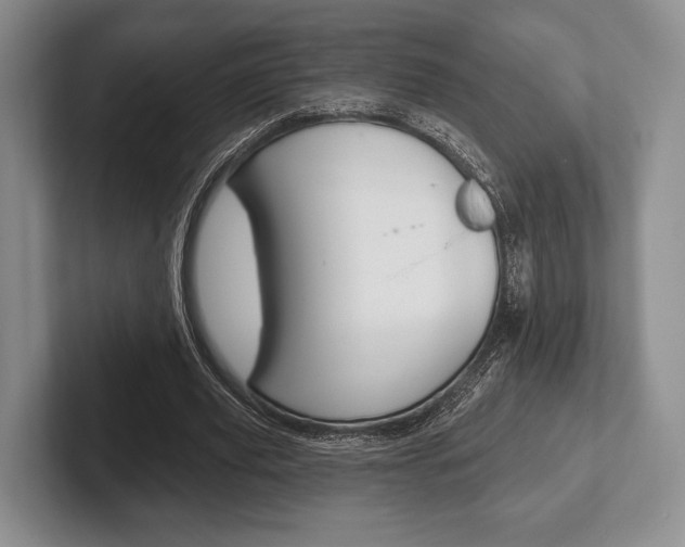 X0000102540629200808081050