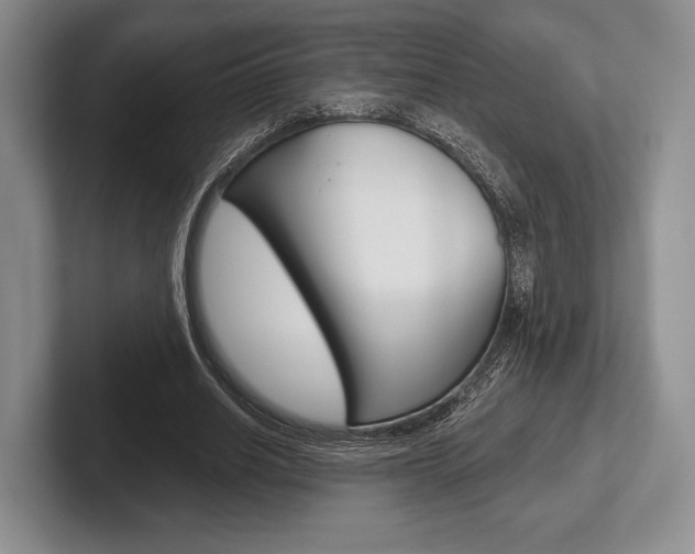 X0000102540630200808081050