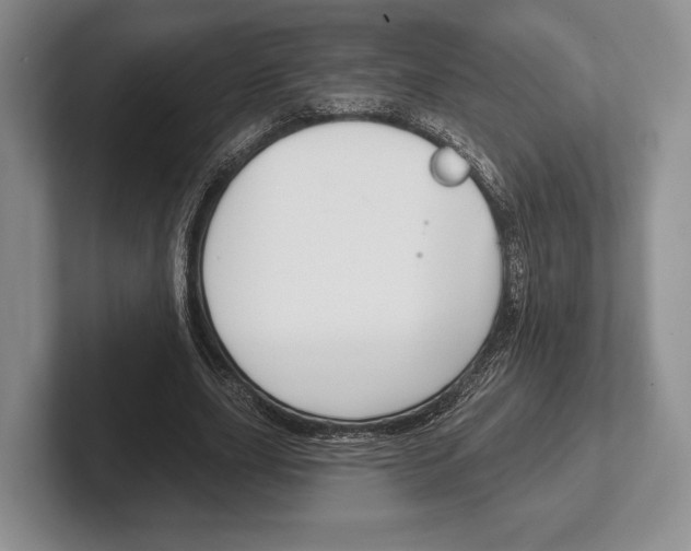 X0000102540631200808081050