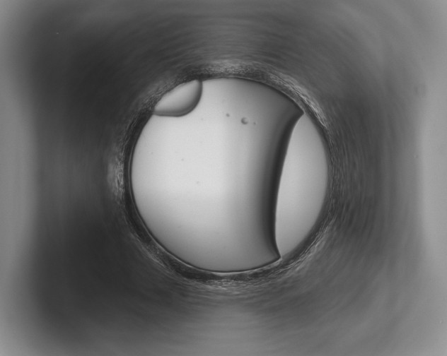X0000102540633200808081050