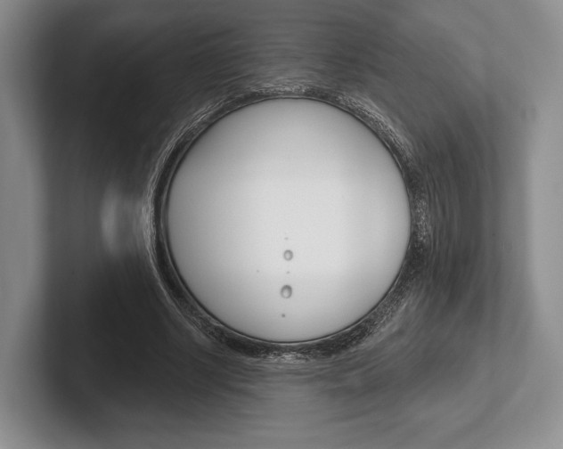 X0000102540634200808081050