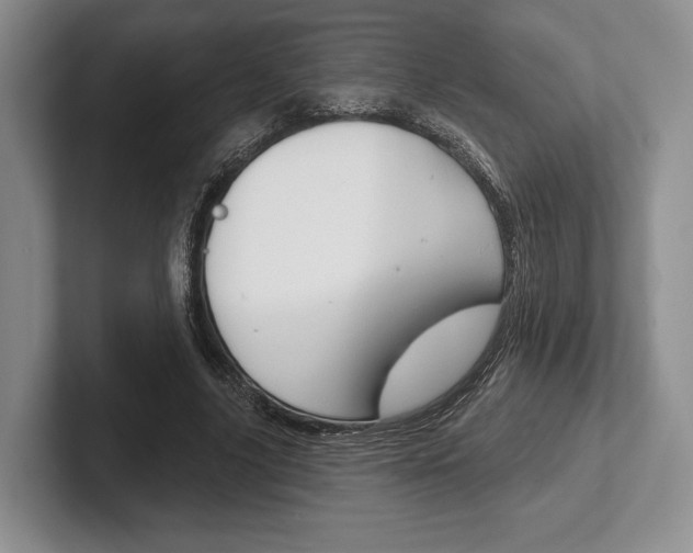 X0000102540635200808081050