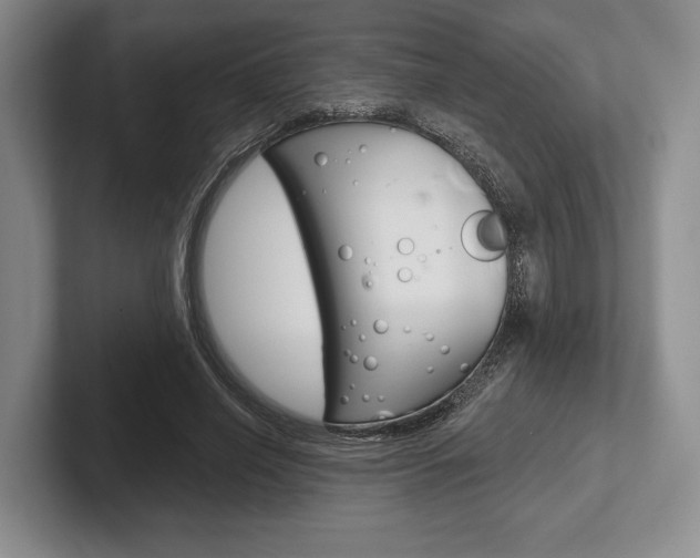 X0000102540638200808081050